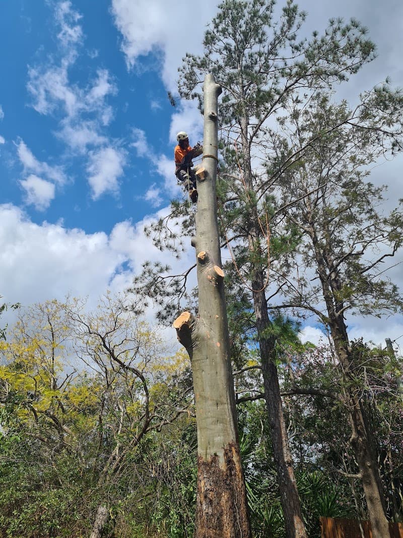 EZ-AS TREE SERVICE
