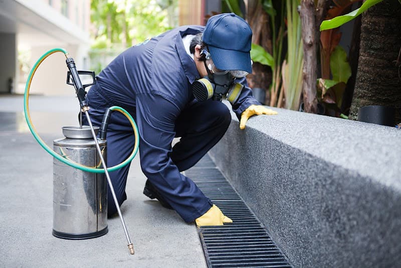 Davis Pest and Termite Control